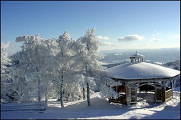 Privatni smještaj Krynica-Zdrój 3